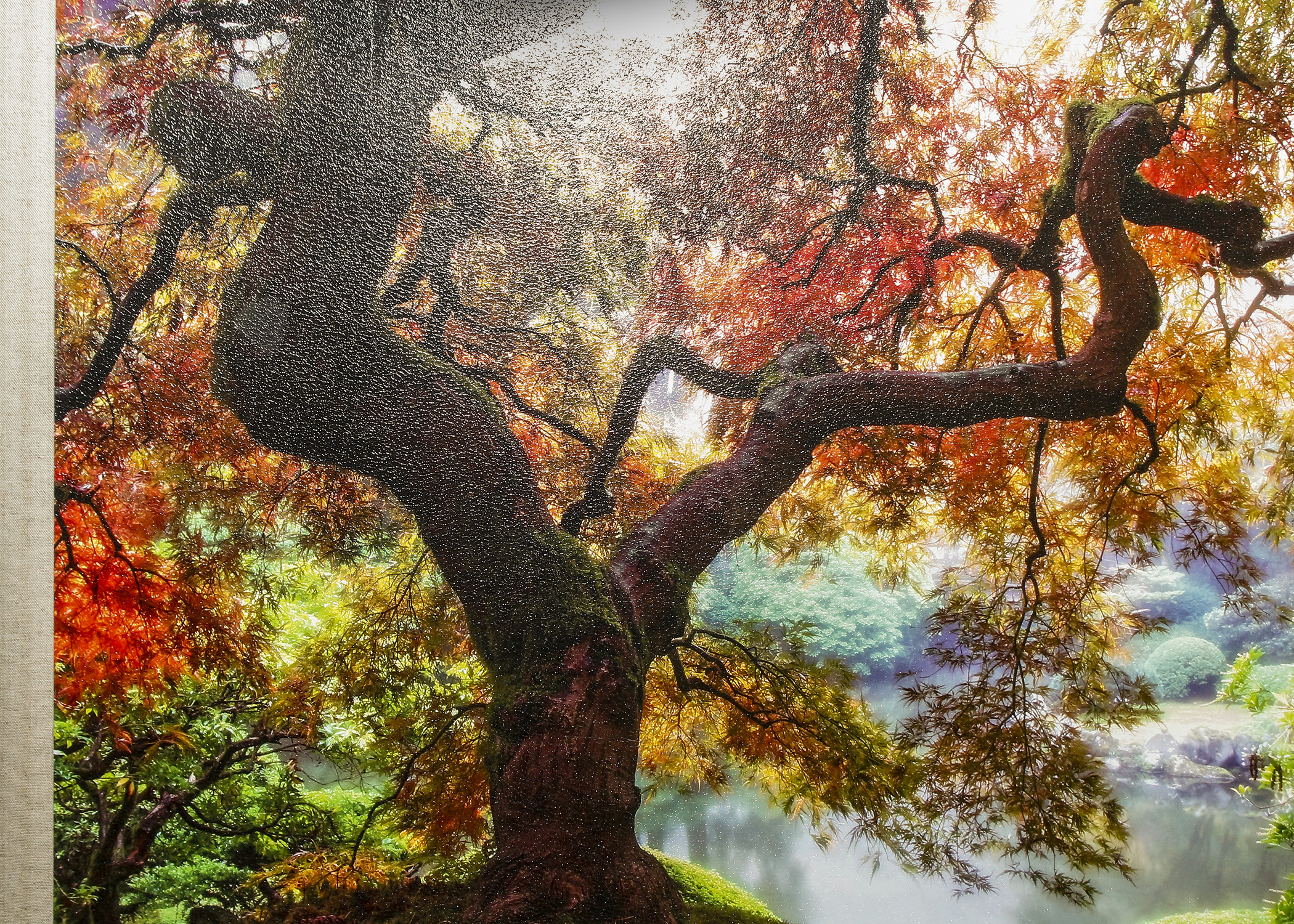 Large Framed Fall Tree Scene from Kirklands EBTH